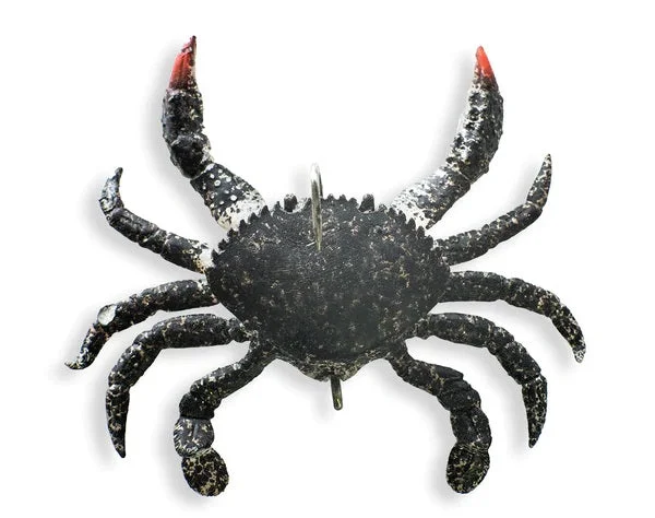 Rock Crab