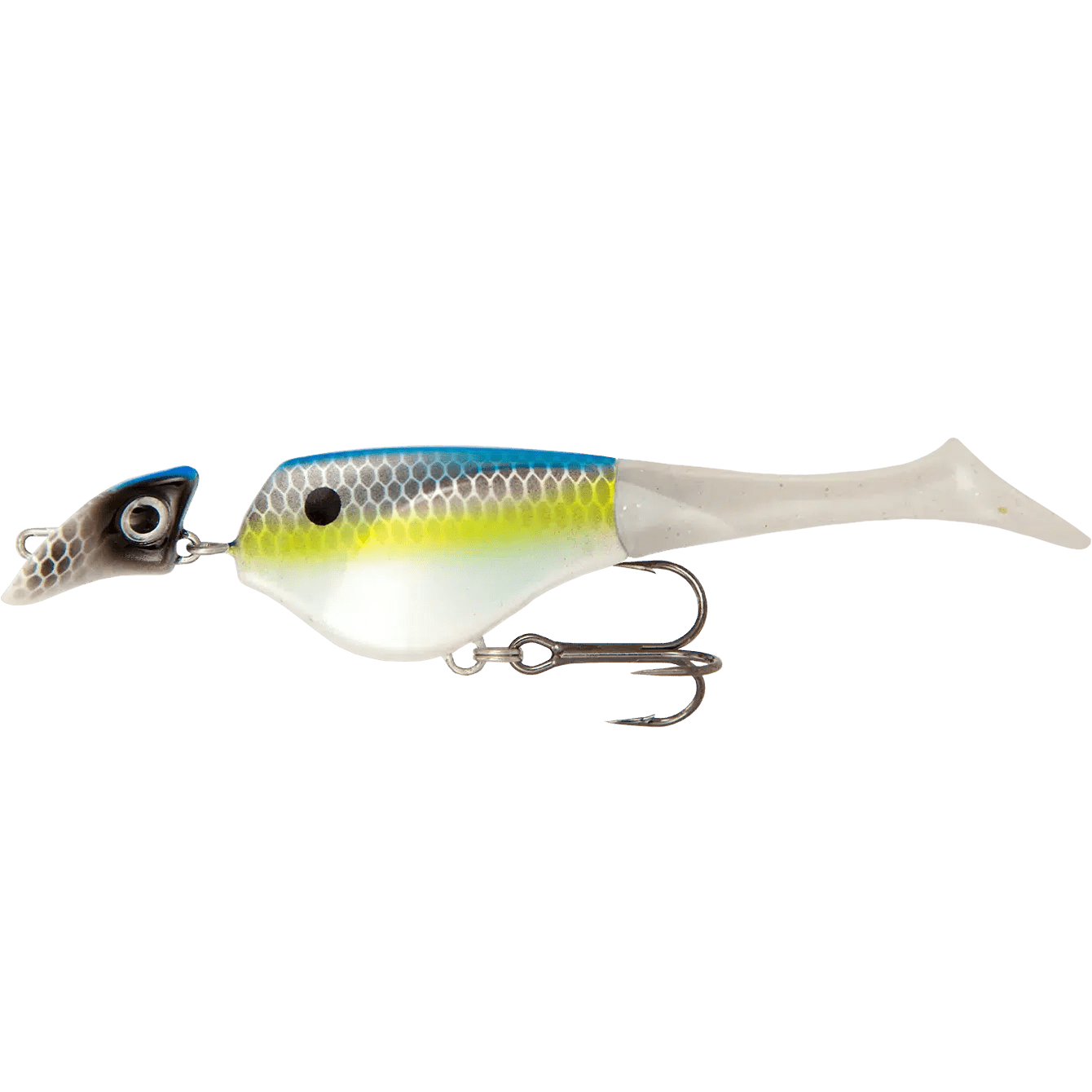 Sexy Shad