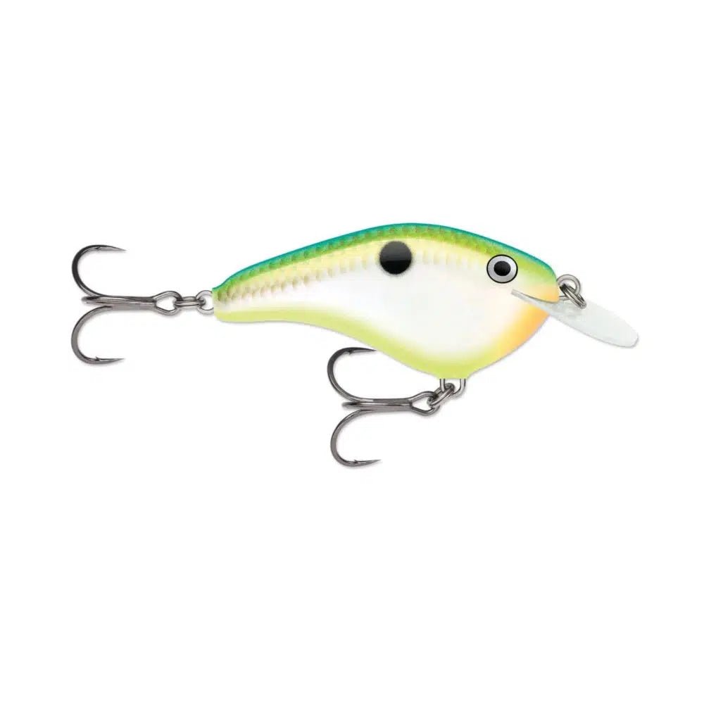 Citrus Shad