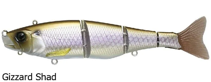 Gizzard Shad