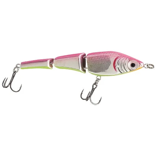 Silver Pink Back Chartreuse Belly