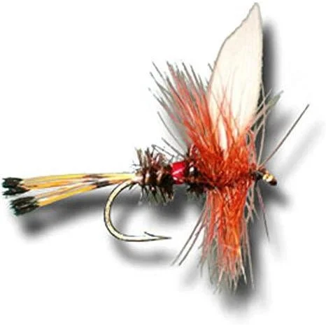 Superfly Dry Fly Royal Coachman Size 14 QTY 2