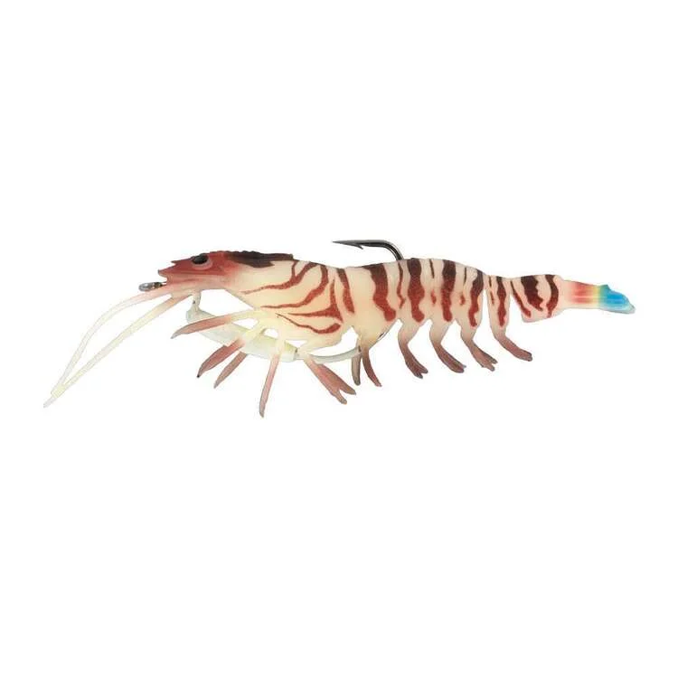 Tiger Prawn