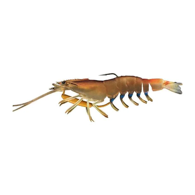 Native Prawn