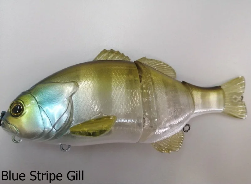 Blue Stripe Gill