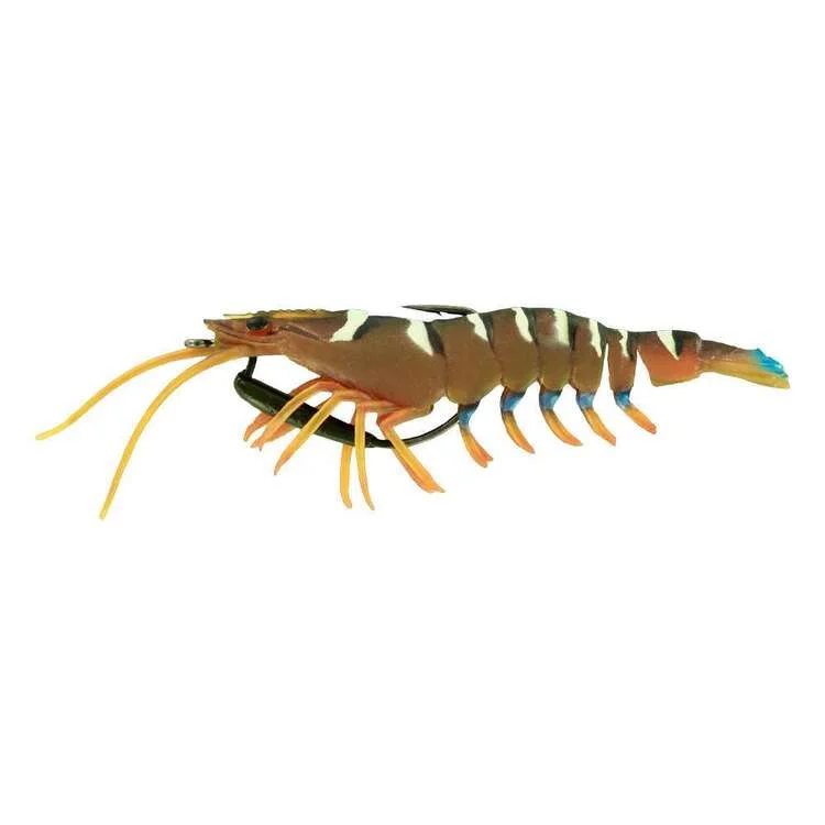 Green Prawn