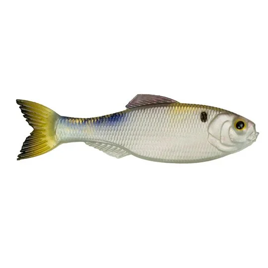 4K Shad