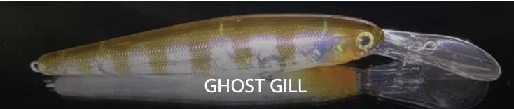 Ghost Gill