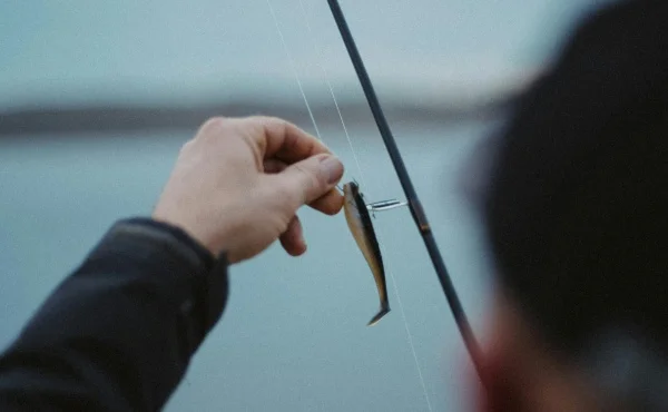 Find the perfect bait for your next big catch!